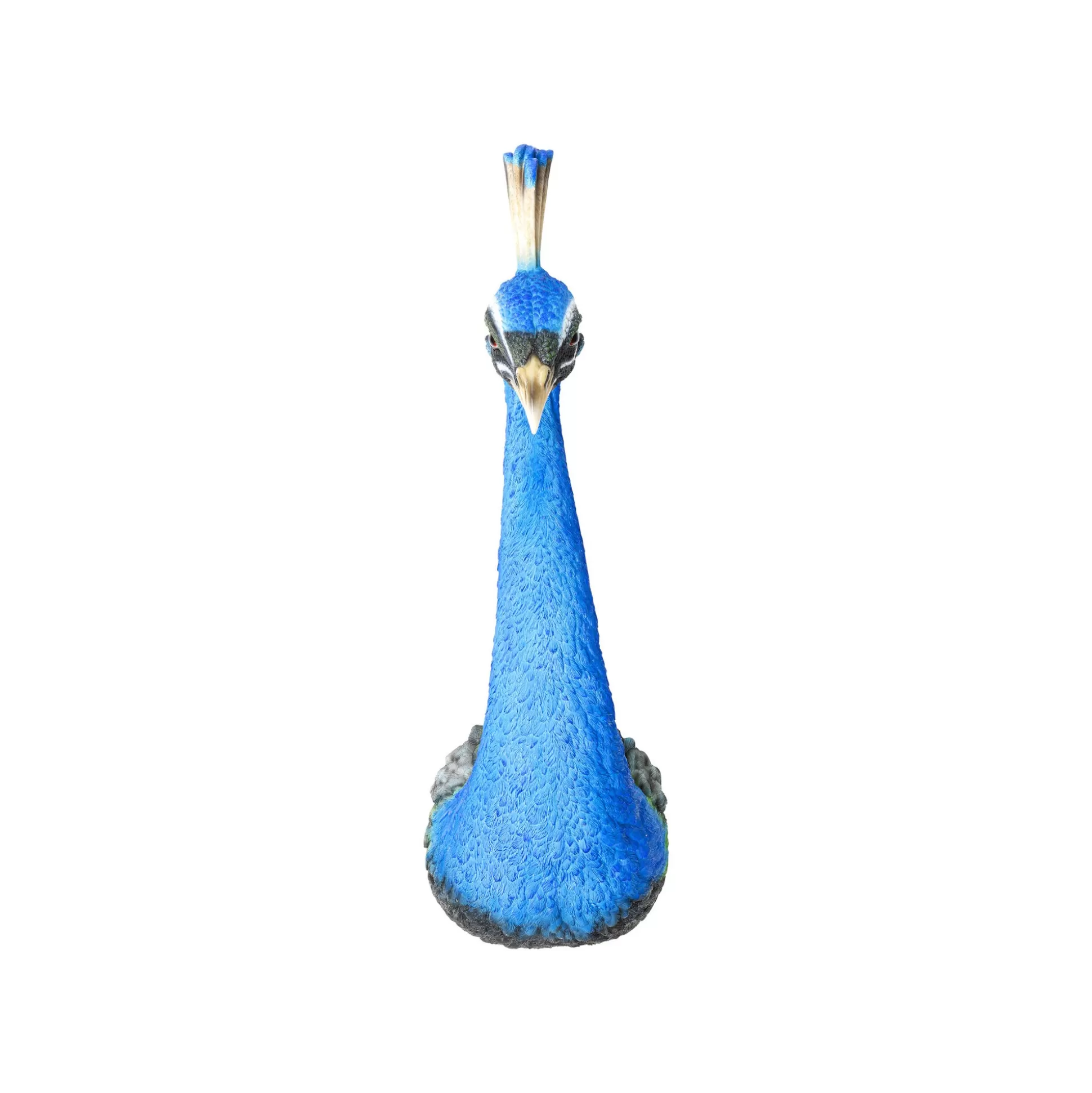 Déco Murale Paon Bleu ^KARE Design Online