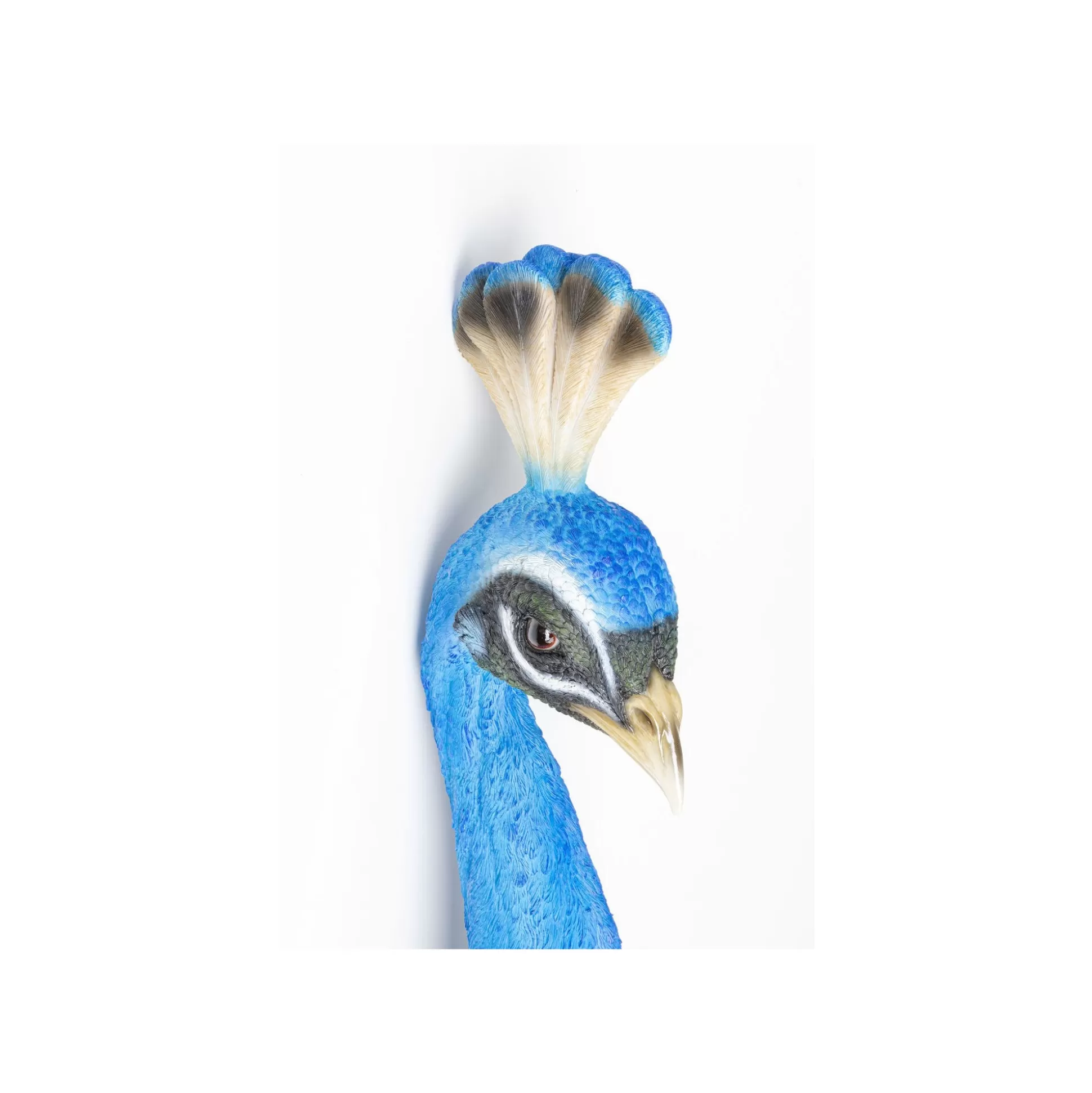 Déco Murale Paon Bleu ^KARE Design Online