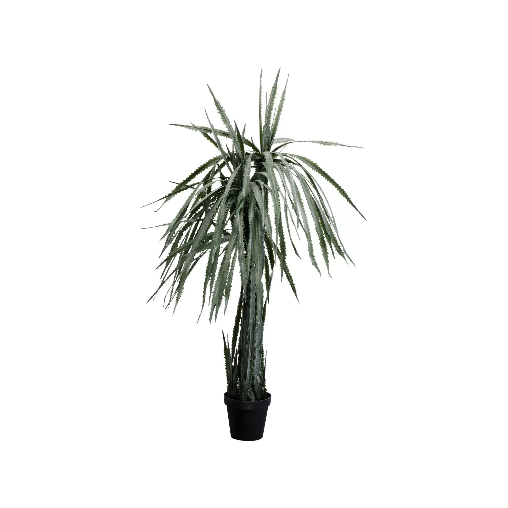 Plante Décorative Dracaena 155cm ^KARE Design Cheap