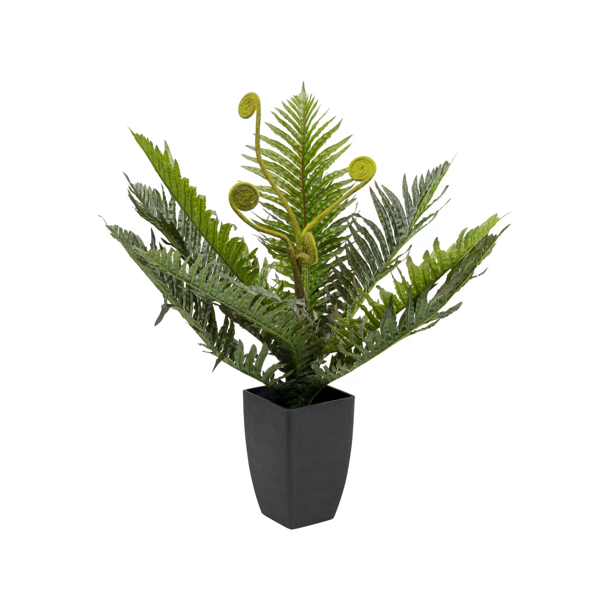 Plante Décorative Fougère 55cm ^KARE Design Outlet