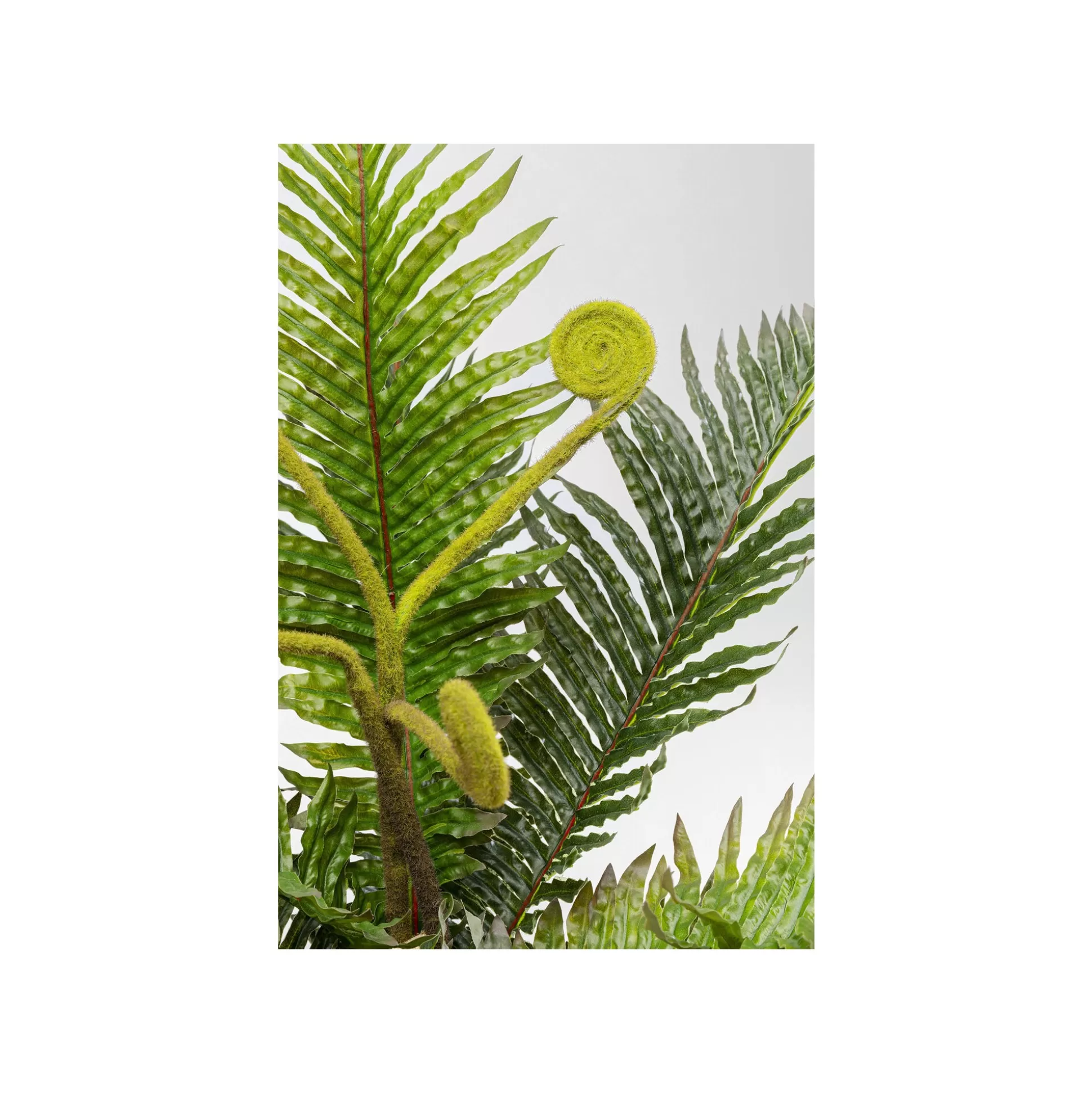 Plante Décorative Fougère 55cm ^KARE Design Outlet