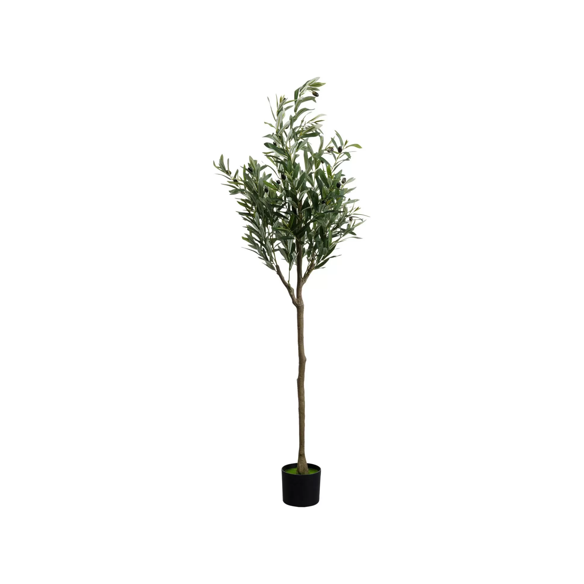 Plante Décorative Olivier 150cm ^KARE Design Cheap