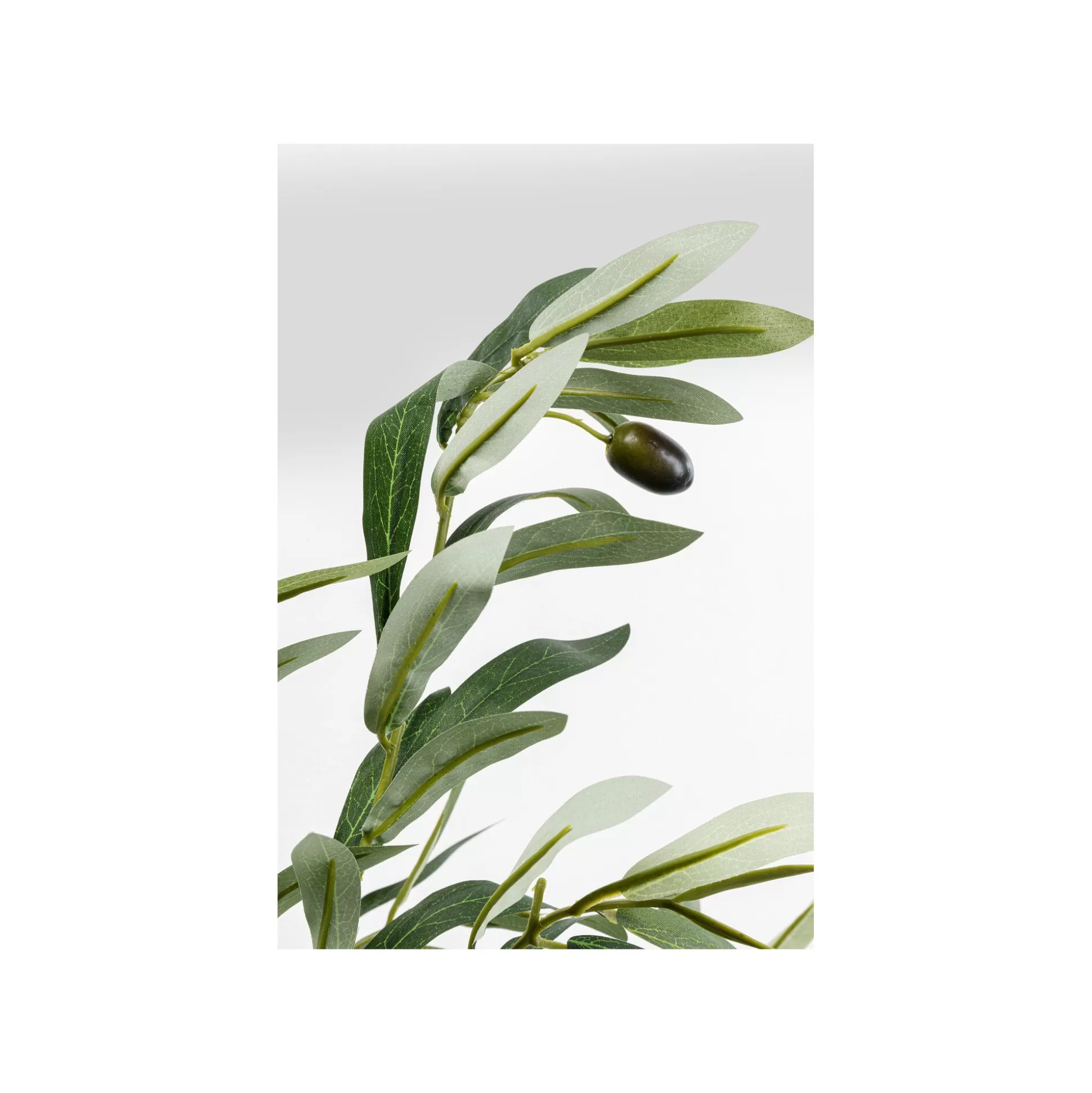 Plante Décorative Olivier 150cm ^KARE Design Cheap