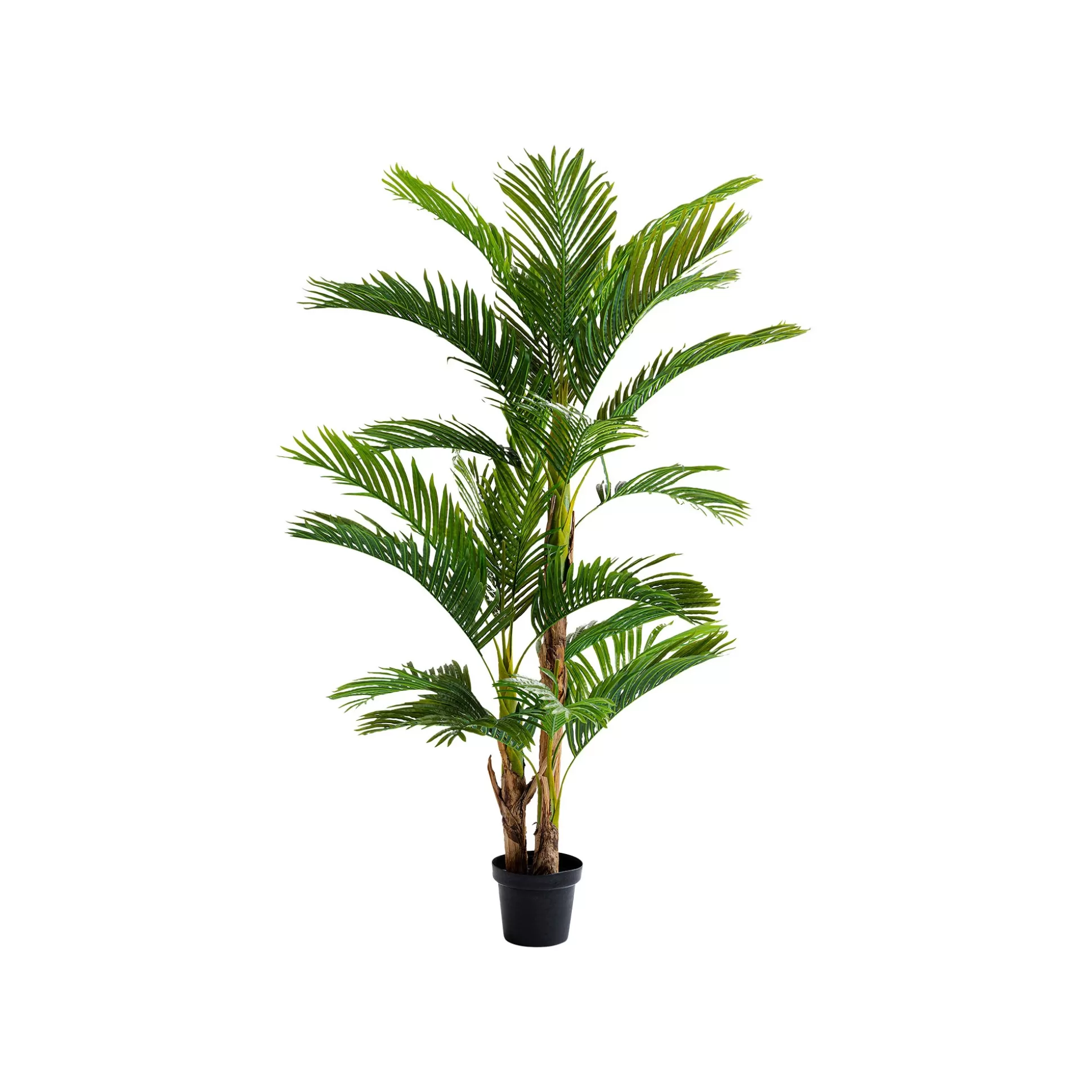 Plante Décorative Palmier 190cm ^KARE Design Store