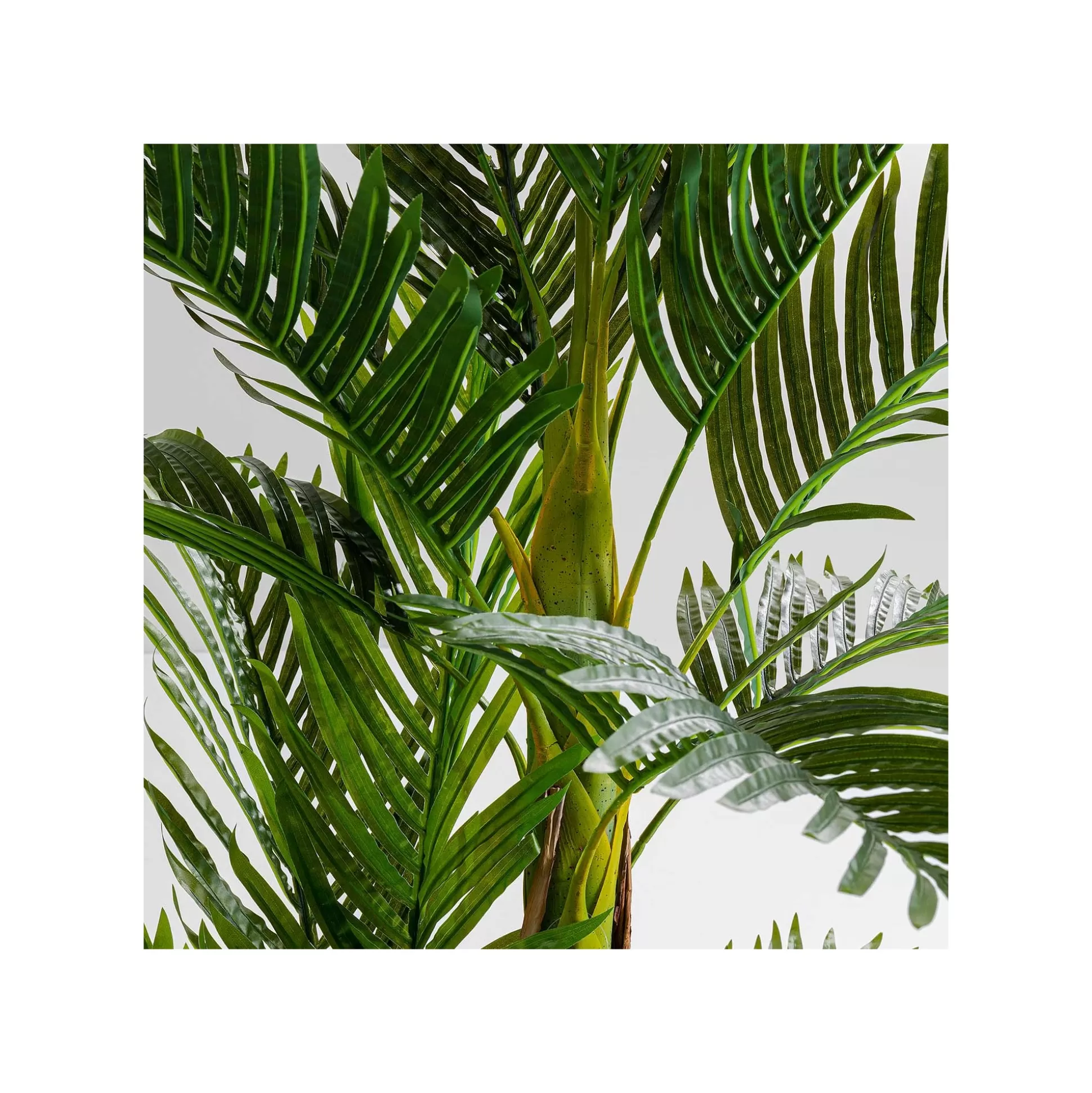 Plante Décorative Palmier 190cm ^KARE Design Store