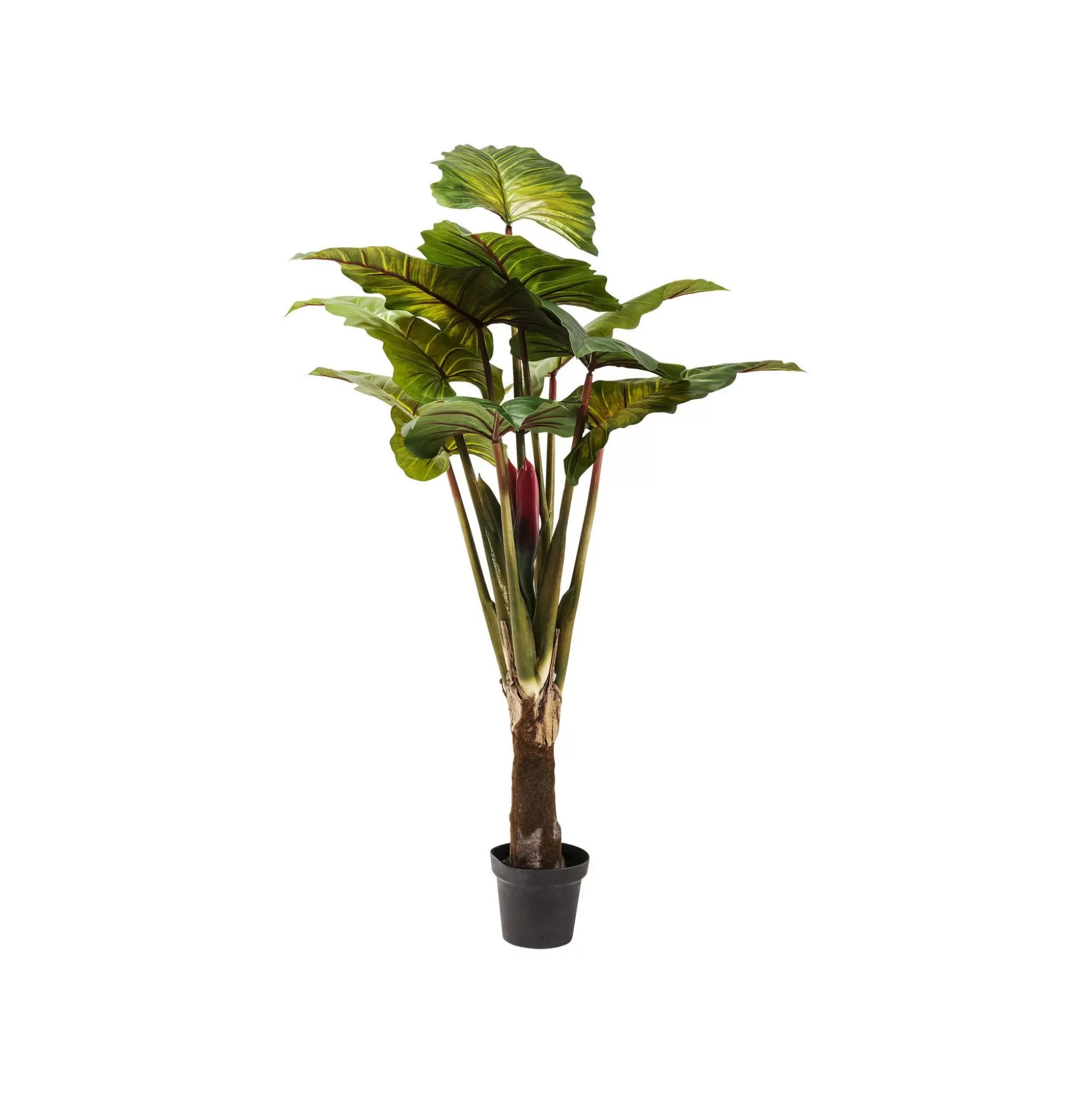 Plante Décorative Rainbow Tree 160cm ^KARE Design Store