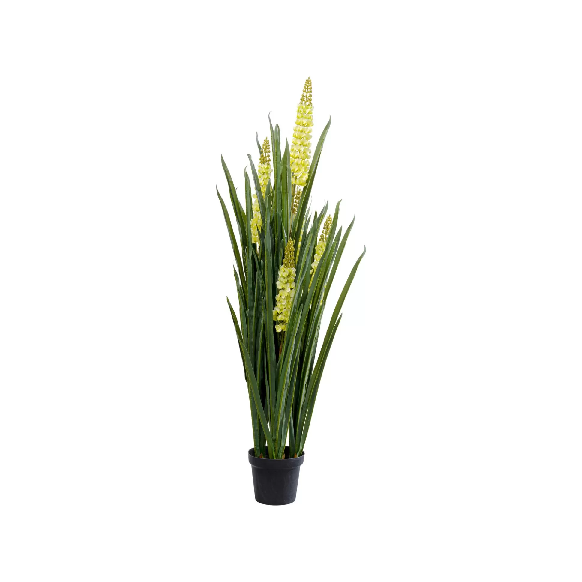 Plante Décorative Rhynchostylis 150cm ^KARE Design Fashion