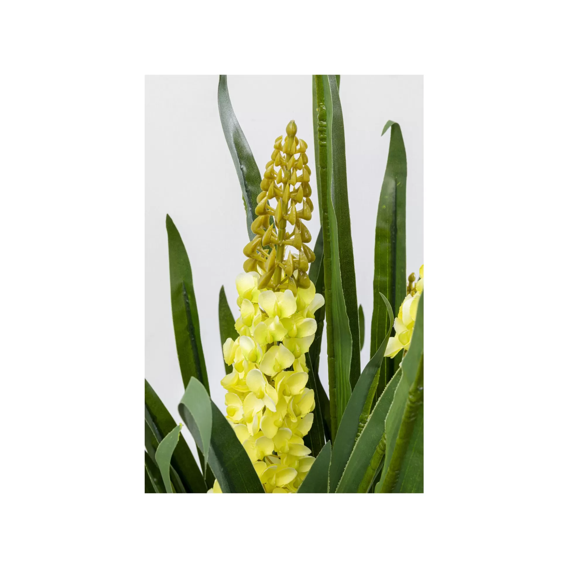 Plante Décorative Rhynchostylis 150cm ^KARE Design Fashion