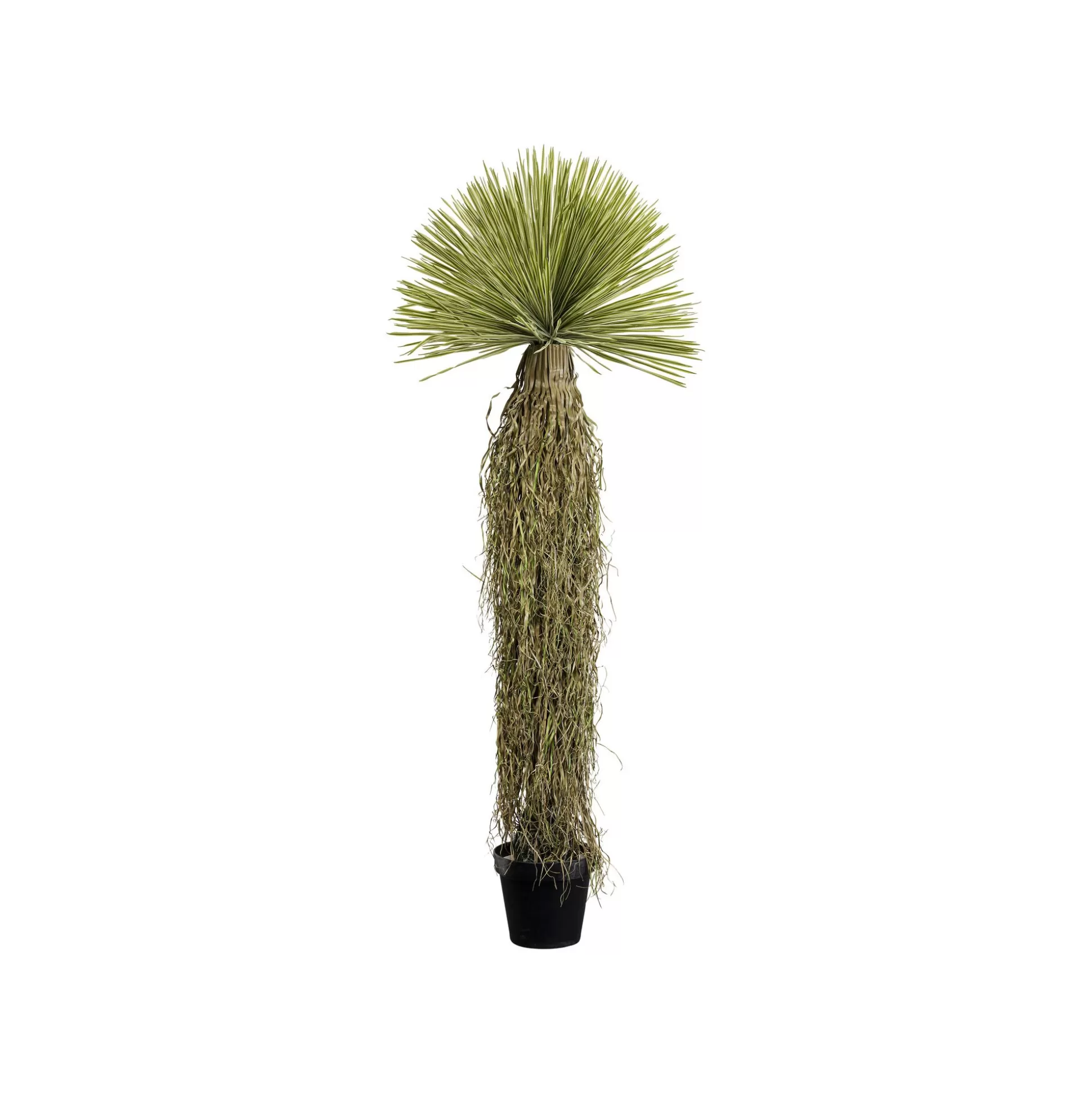 Plante Décorative Yucca 180cm ^KARE Design Fashion