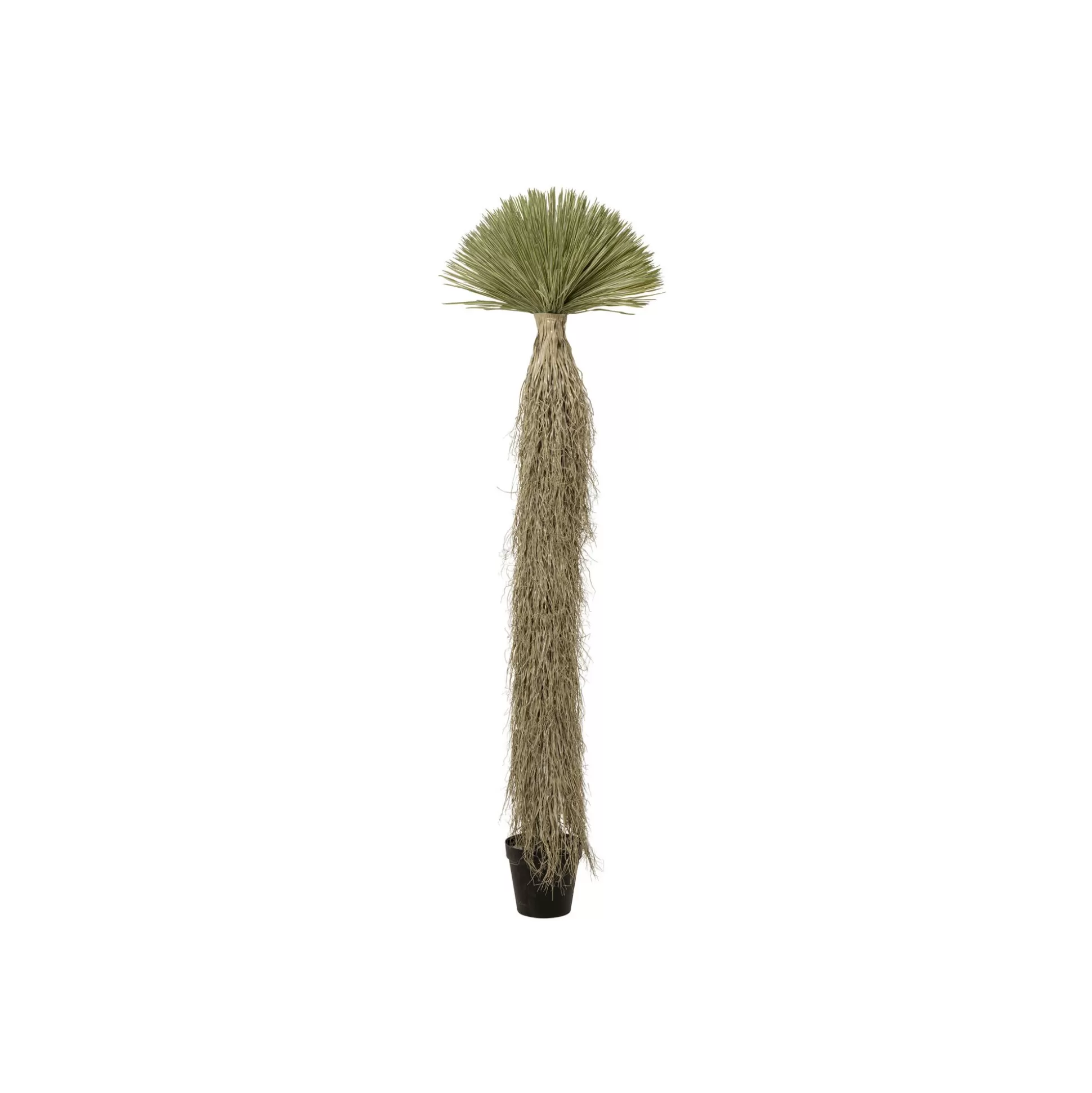 Plante Décorative Yucca 240cm ^KARE Design Discount
