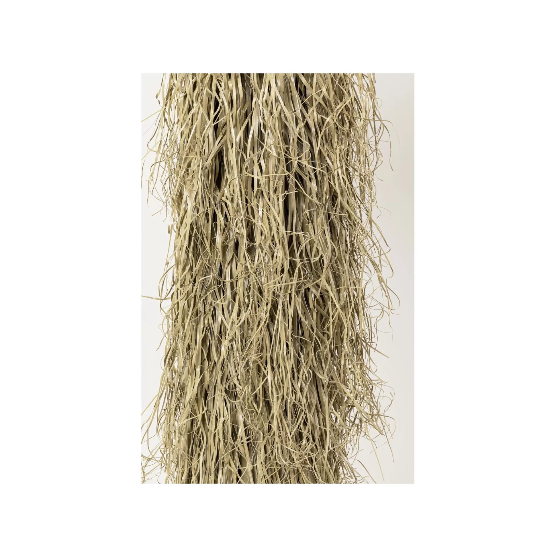 Plante Décorative Yucca 240cm ^KARE Design Discount