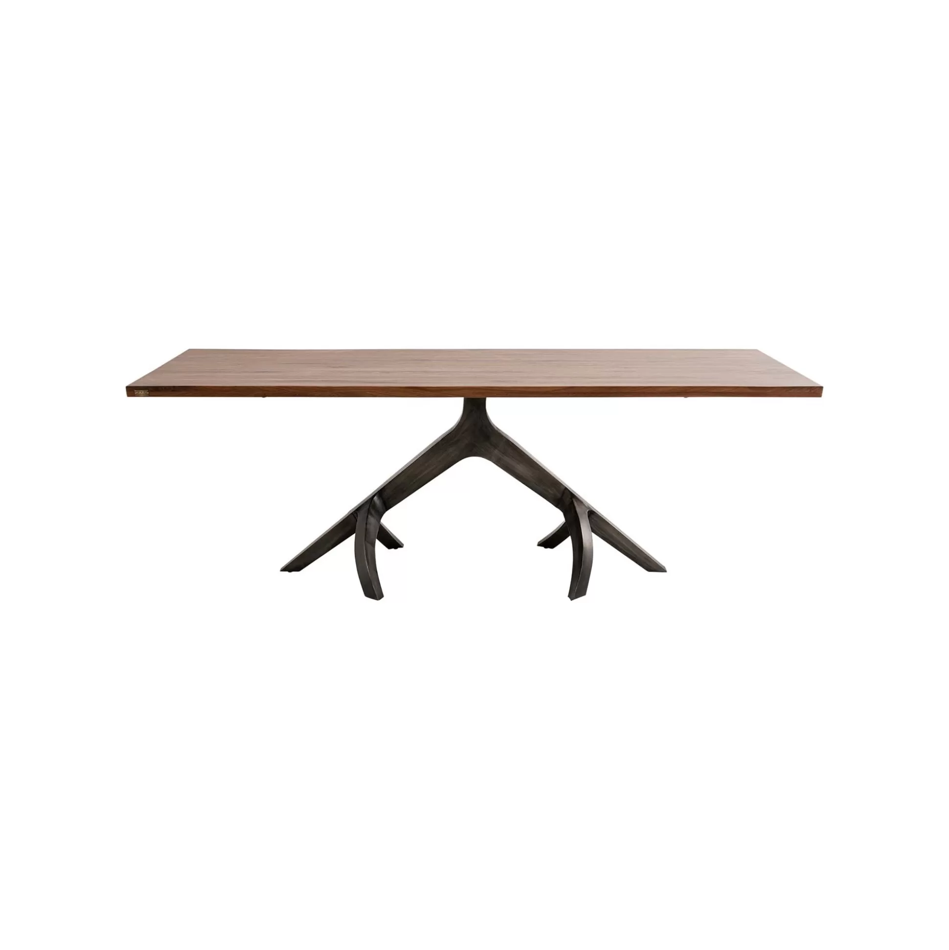 Table Roots Foncée 220x100cm ^KARE Design Discount